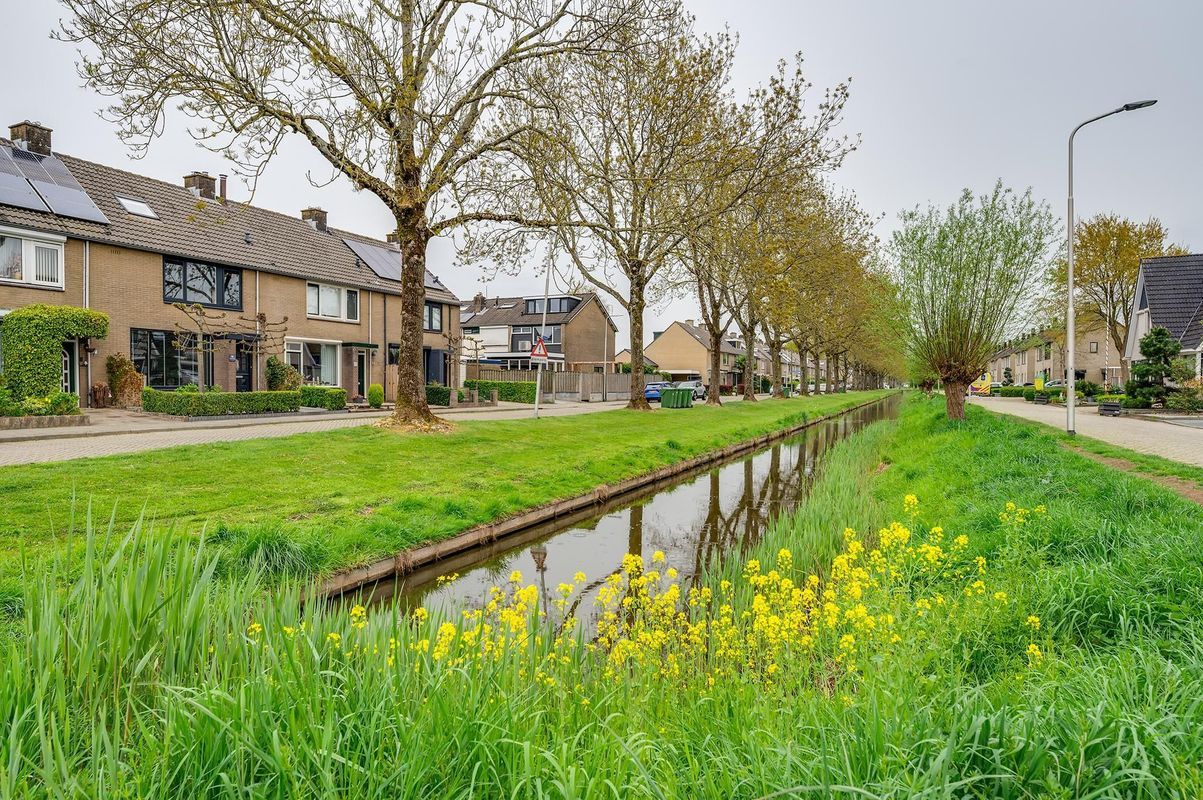 Singel 65 Photo 1