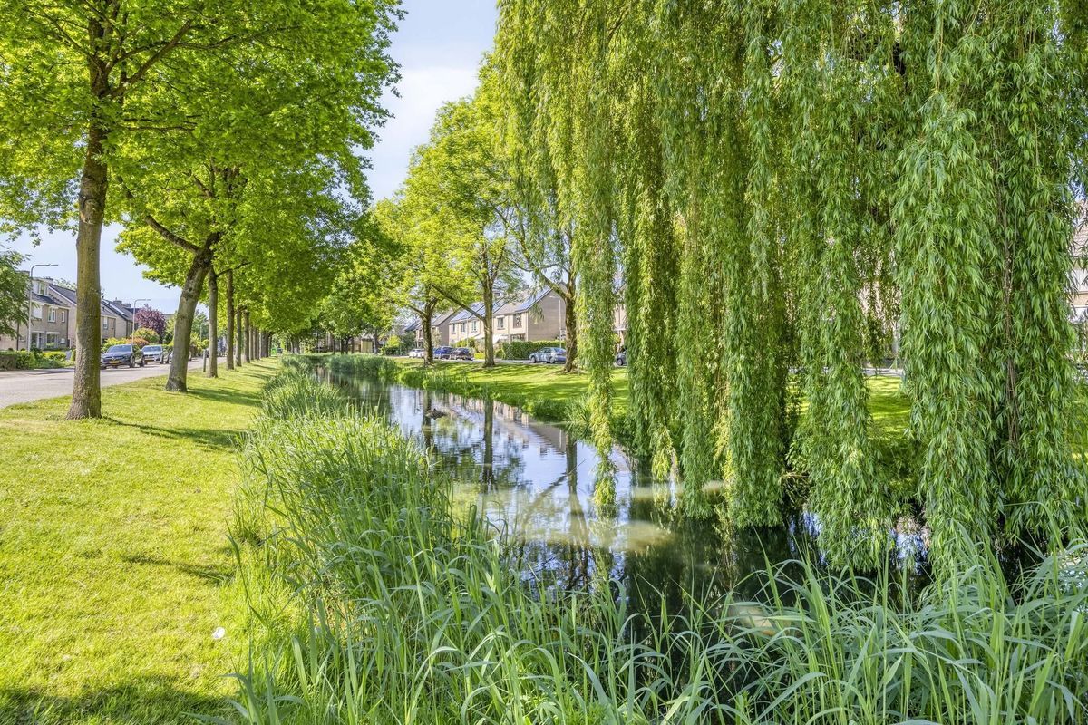 Singel 71 Photo 36
