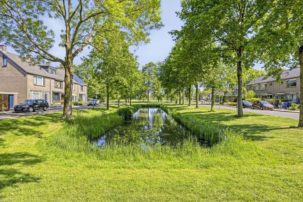Singel 71 Photo 37