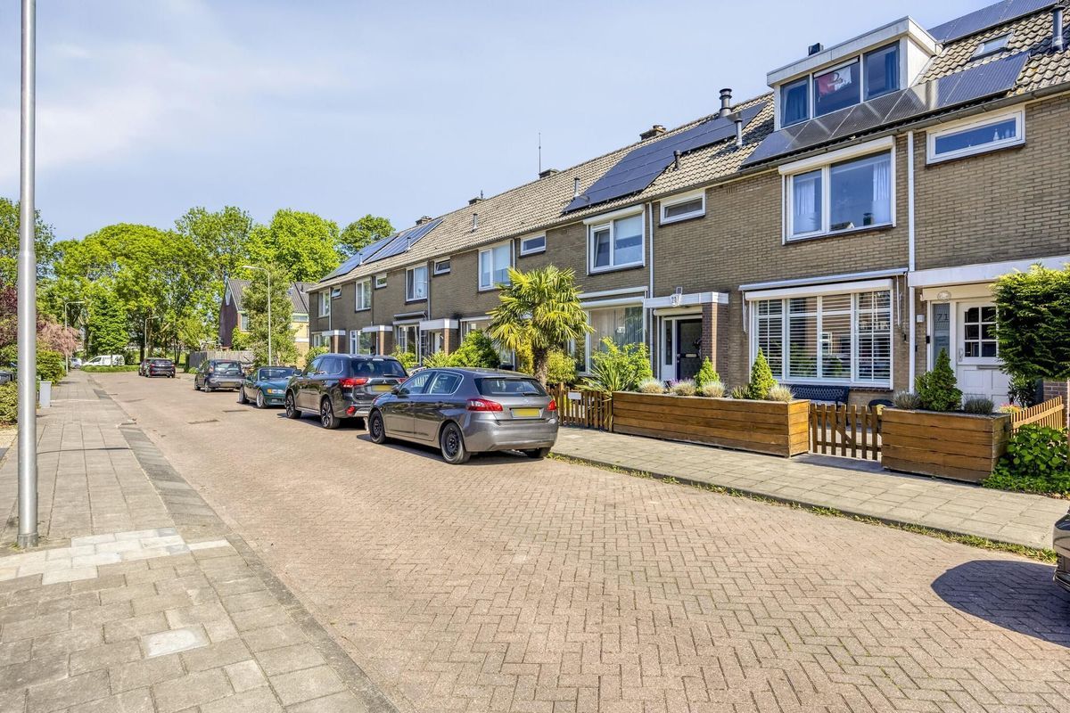 Singel 71 Photo 33
