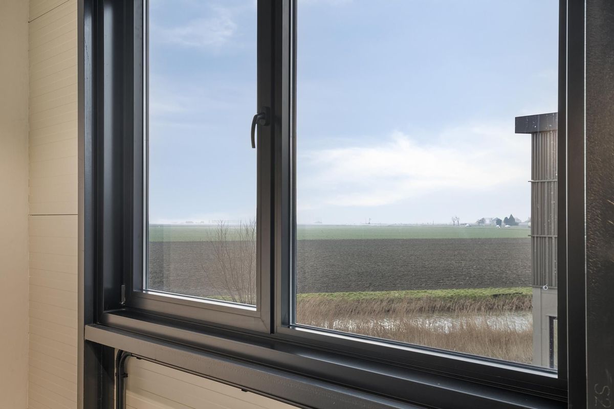 Reedijk 7-T 30 Photo 14