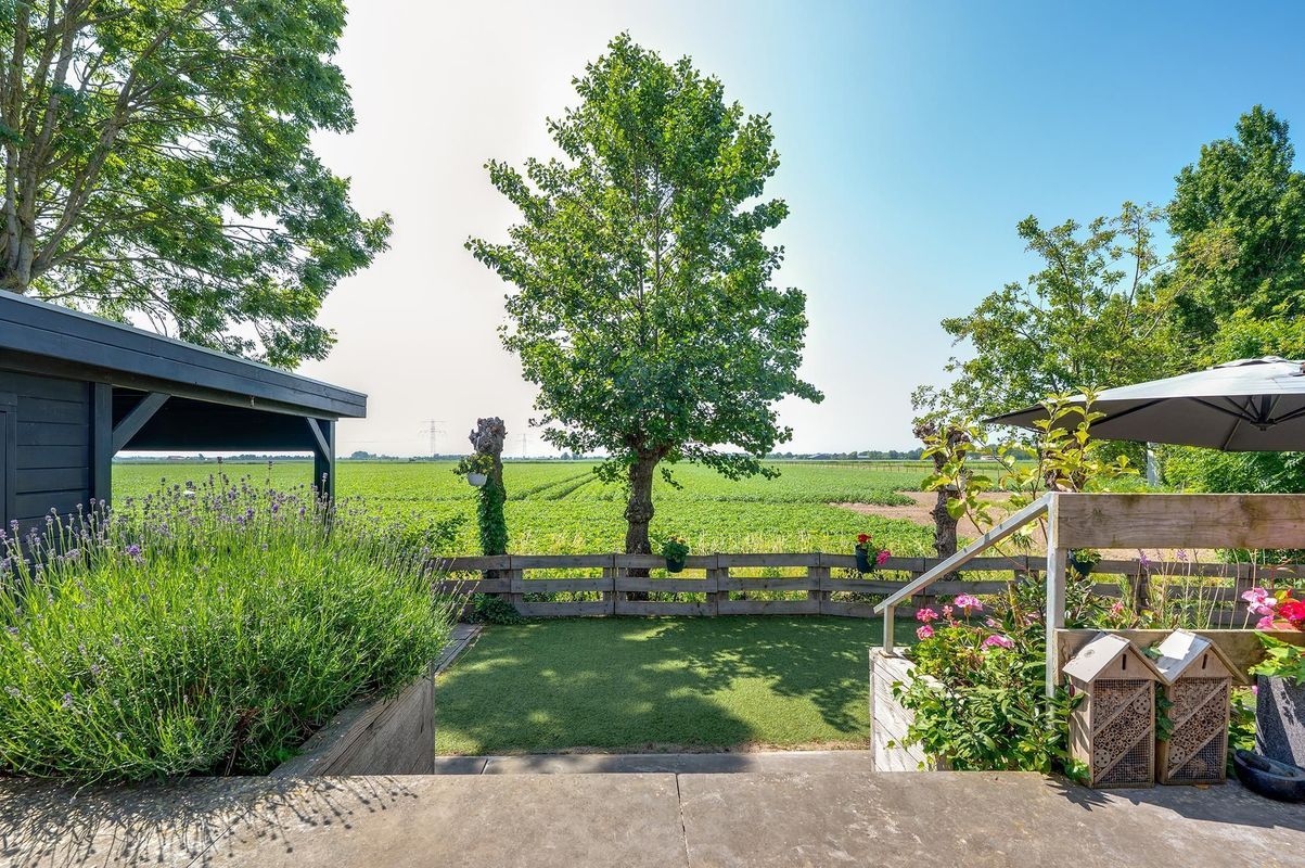 Stougjesdijk 171 Photo 37