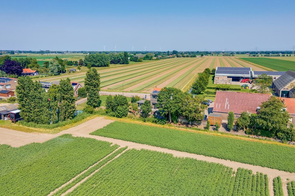 Stougjesdijk 171 Photo 1
