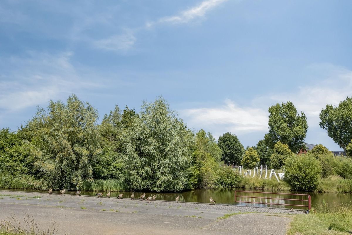 Haagwinde 3 Photo 25