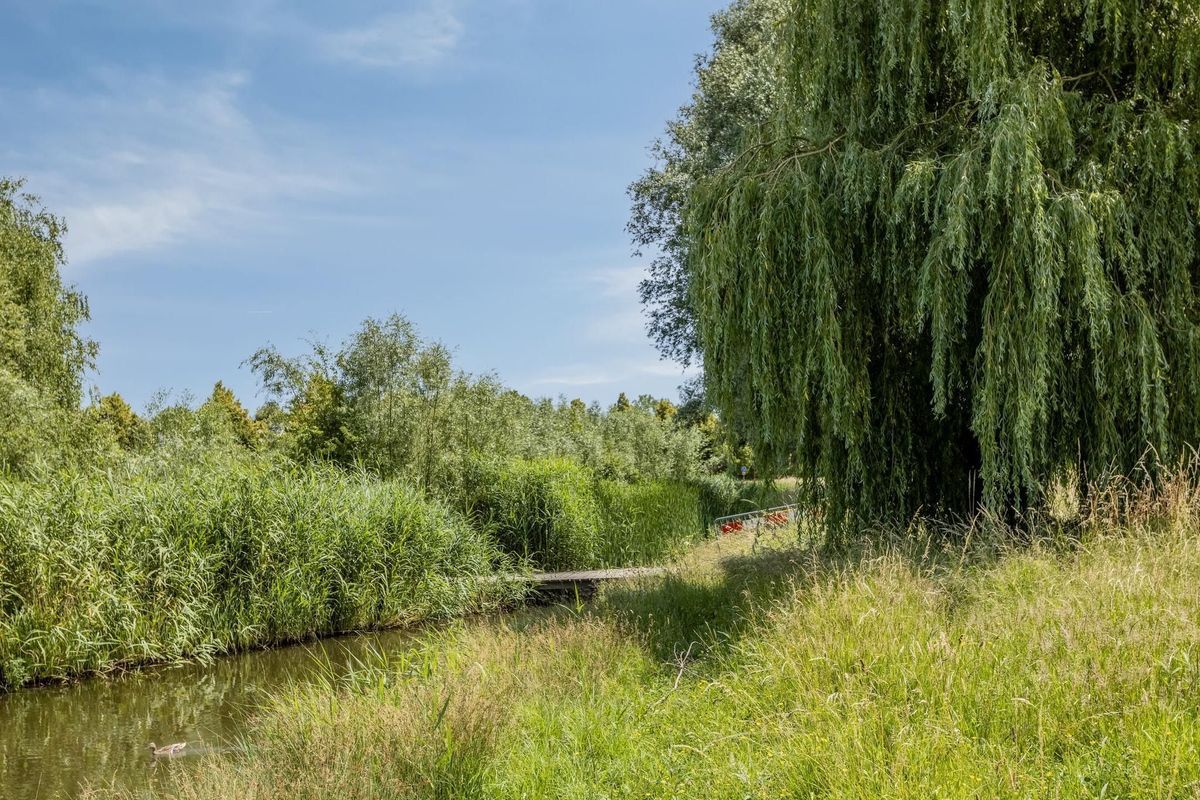 Haagwinde 3 Photo 26