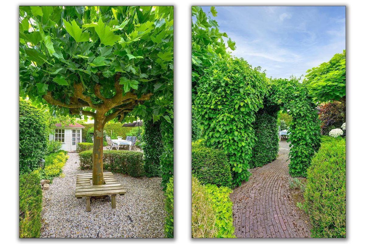 Hilsondusstraat 109 Photo 22