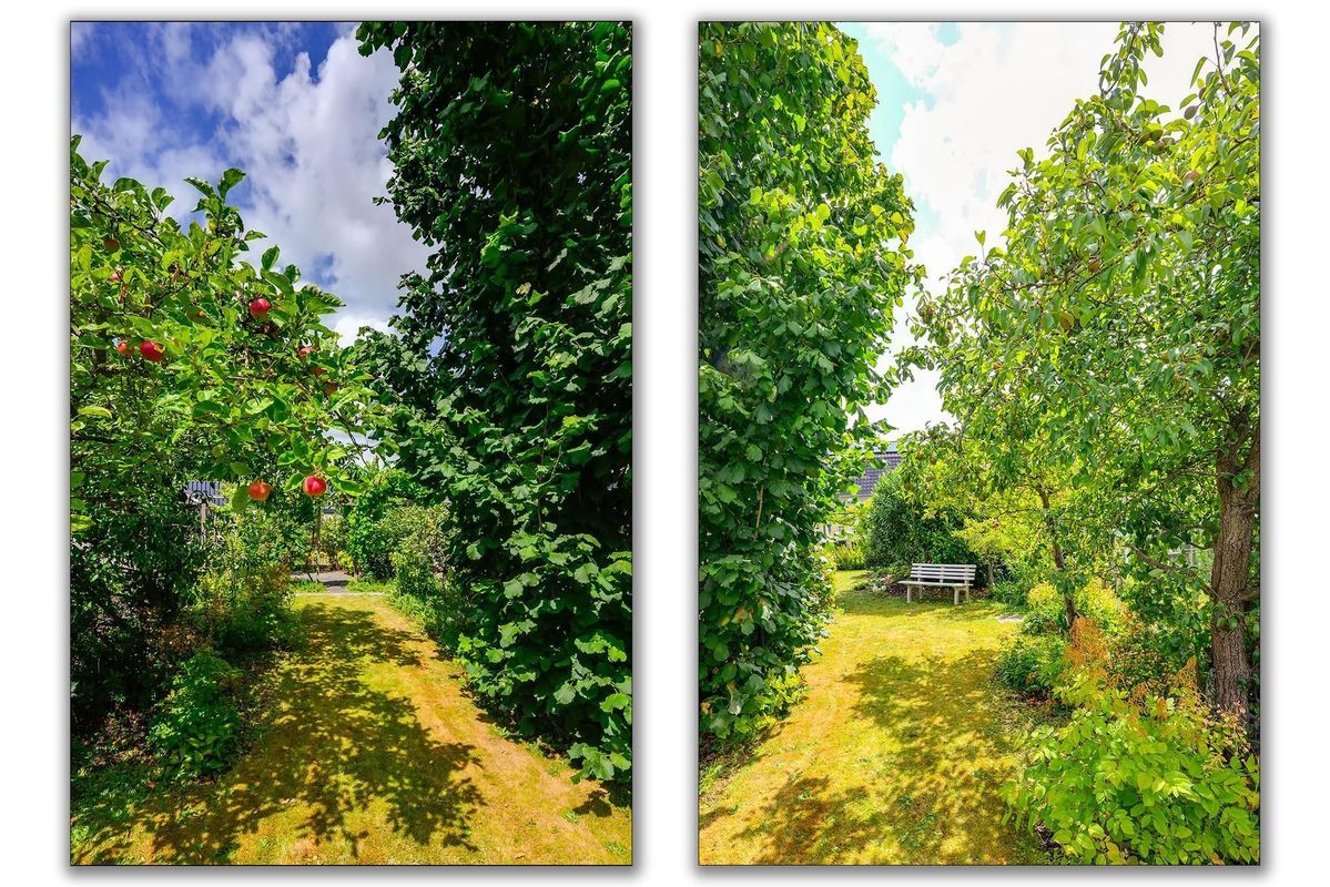 Prins Bernhardstraat 72 Photo 45