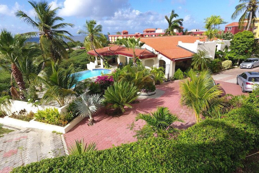 Royal Palm 1B Photo}