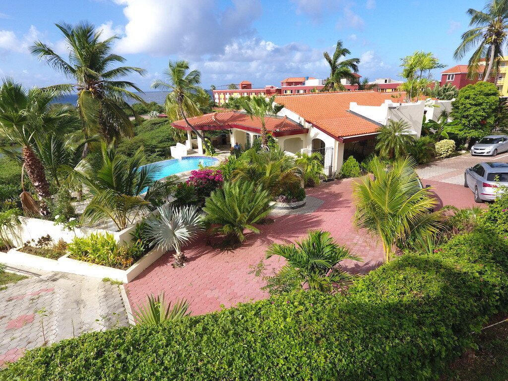 Royal Palm 1B Photo}