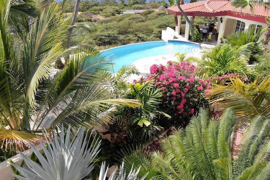 Royal Palm 1-B Photo}
