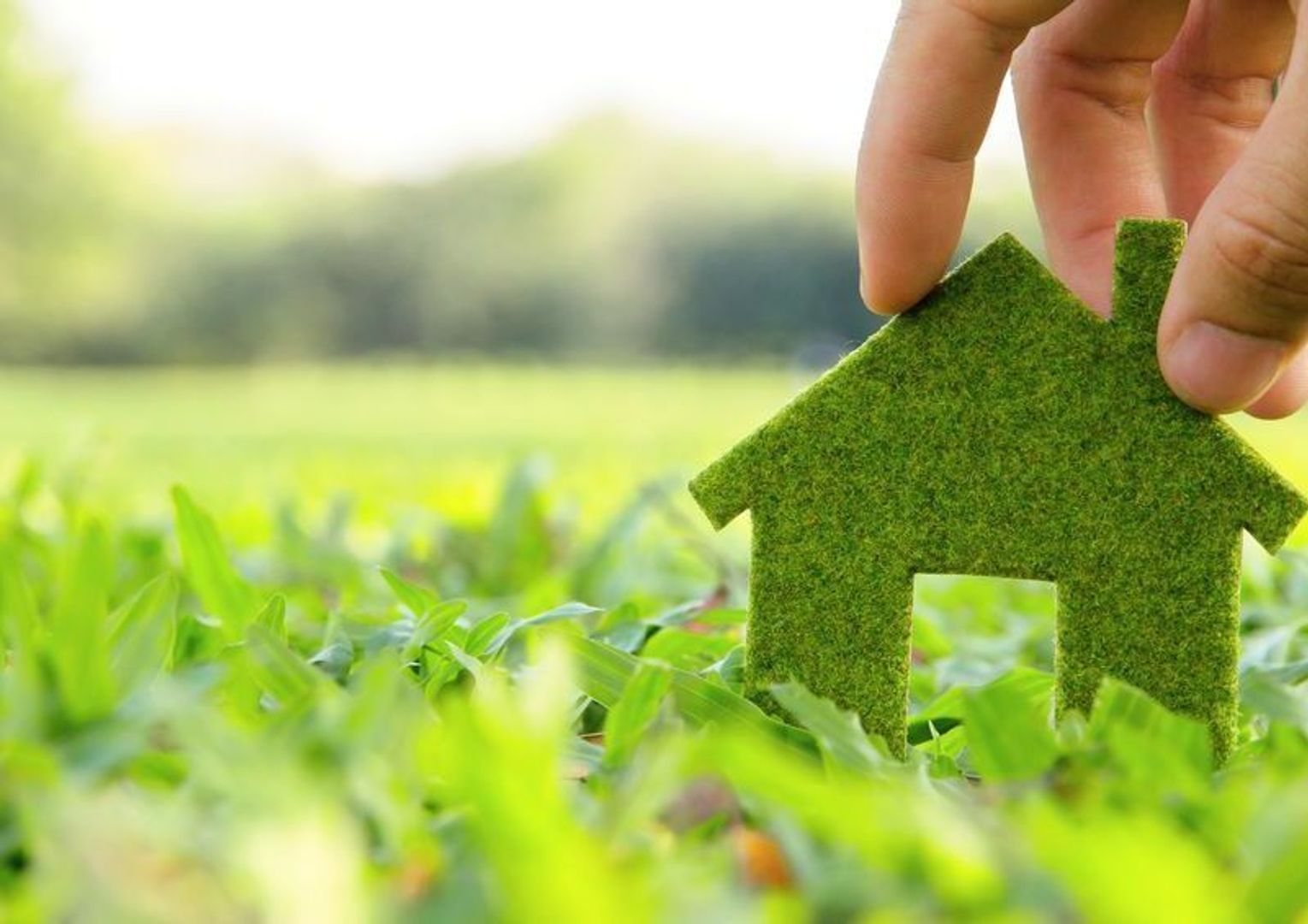 Duurzaam wonen: kleine aanpassingen met grote impact