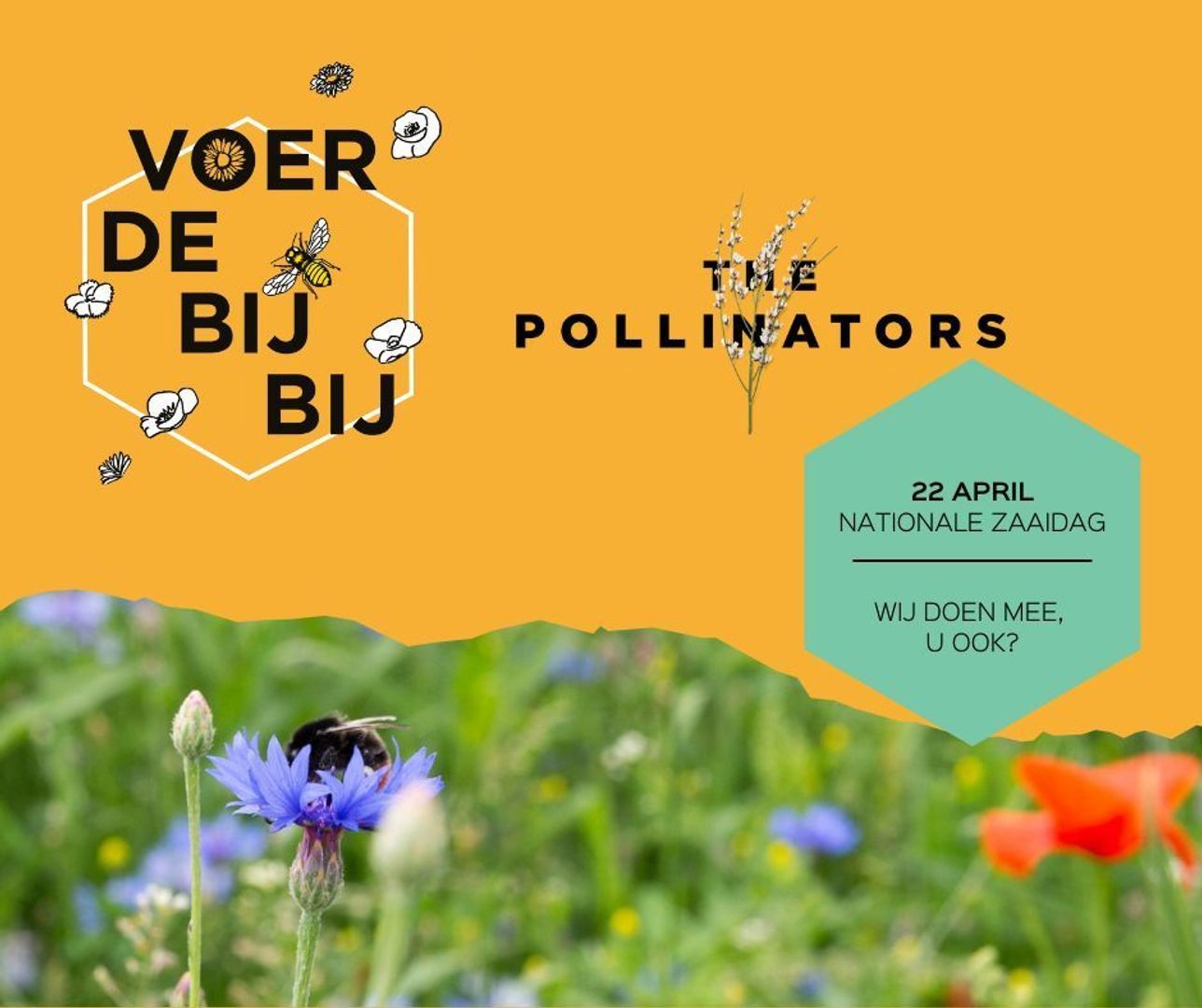 The Pollinators image