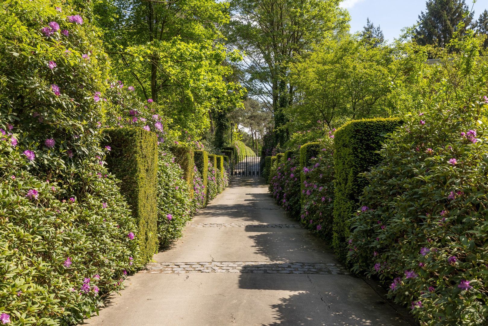 Hoge Duinlaan 19, Waalre foto-1