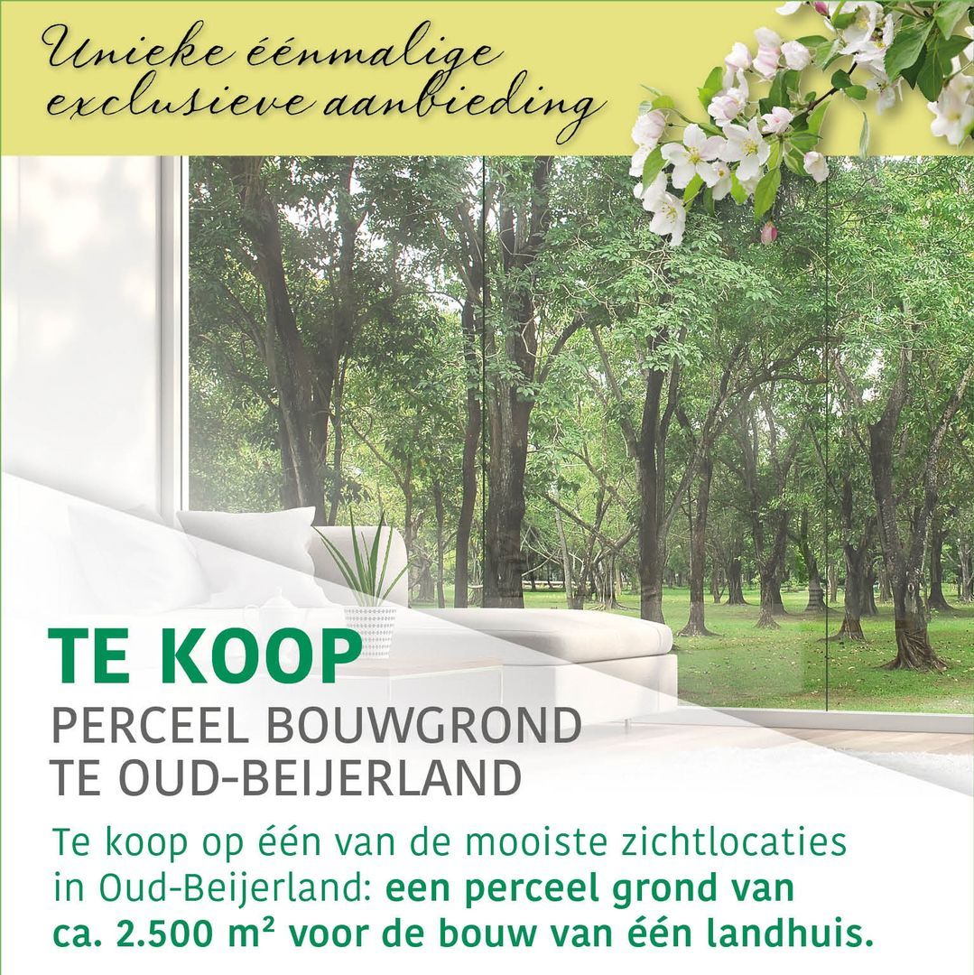 Perceel bouwgrond te Oud-Beijerland (2019) foto-0