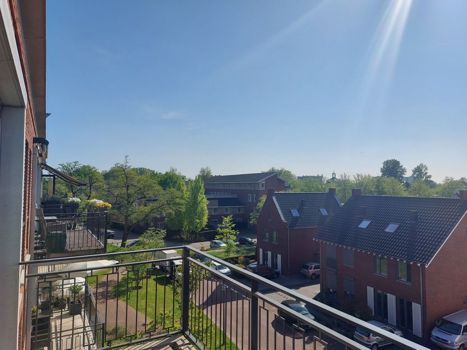 Image 11