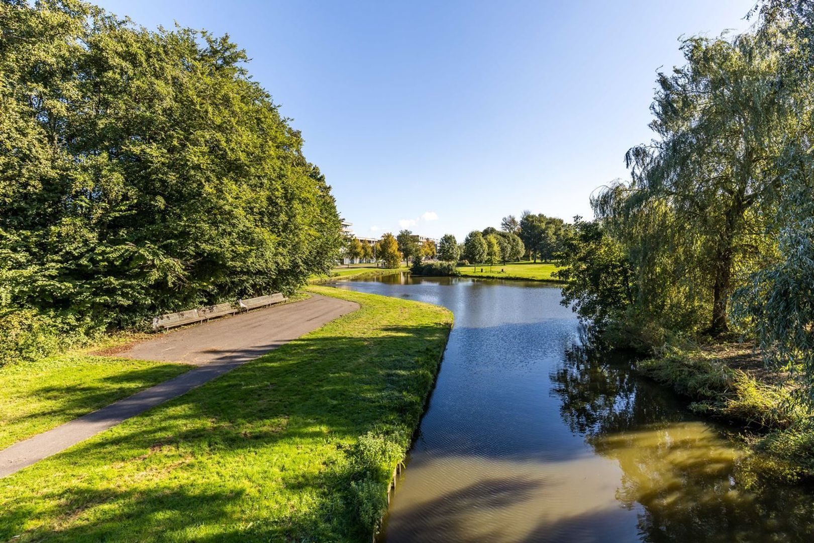 Argonautenweg, Rotterdam foto-40