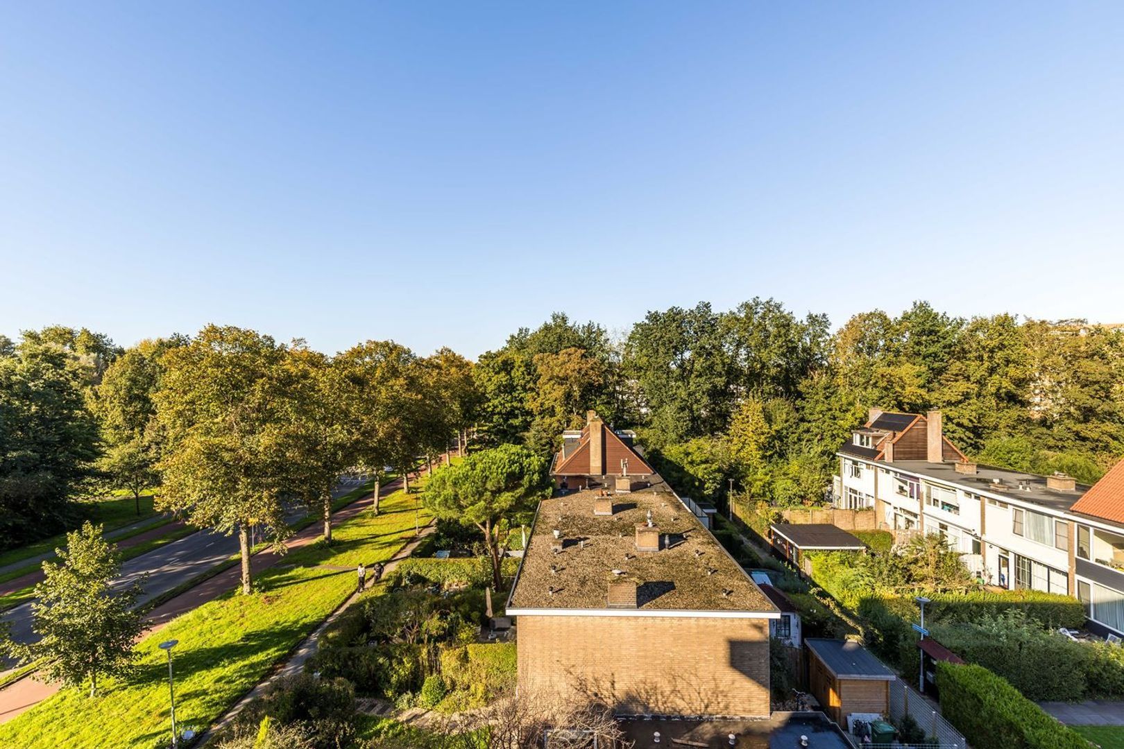 Argonautenweg, Rotterdam foto-36