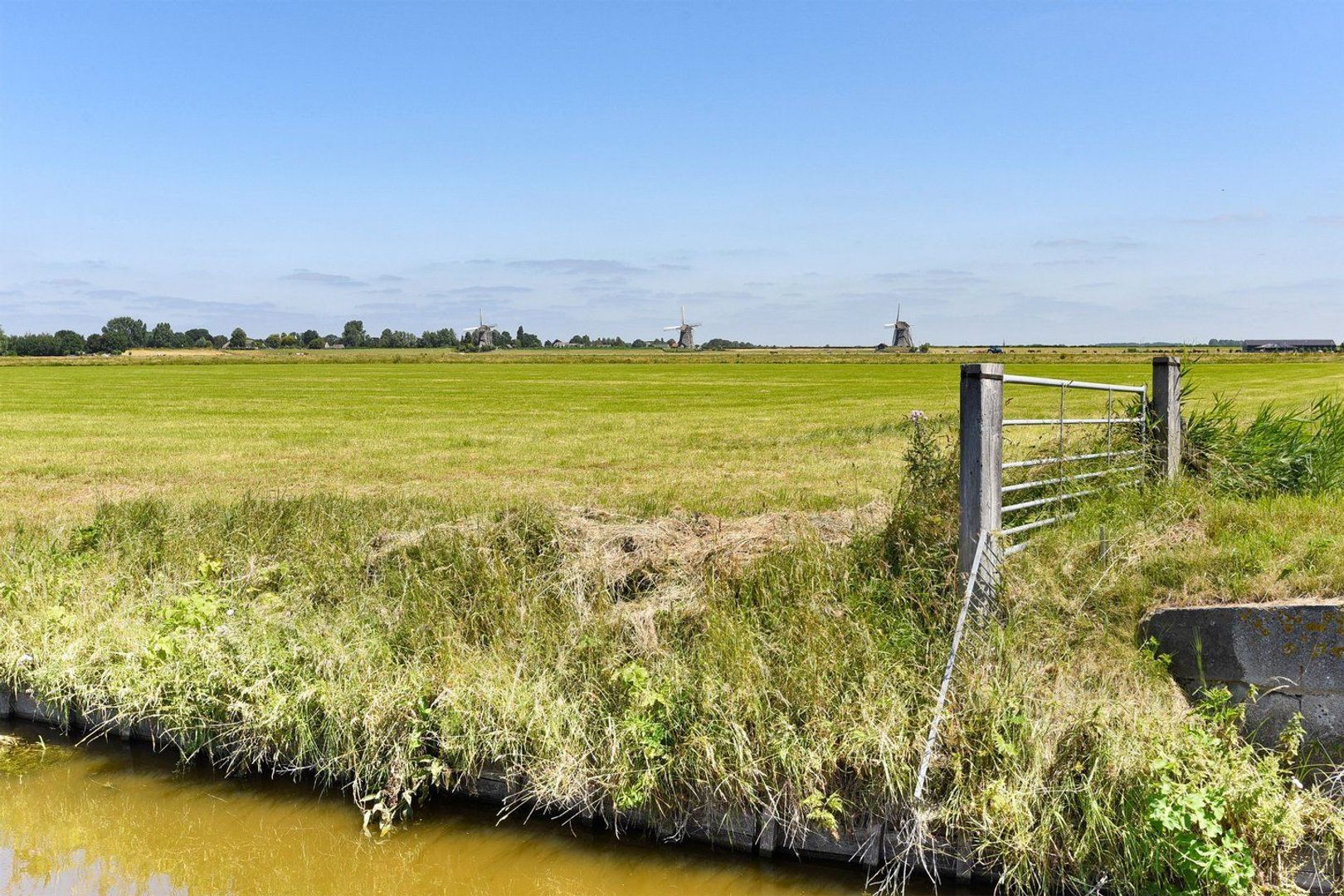 Pijlkruidveld, Den Haag foto-39