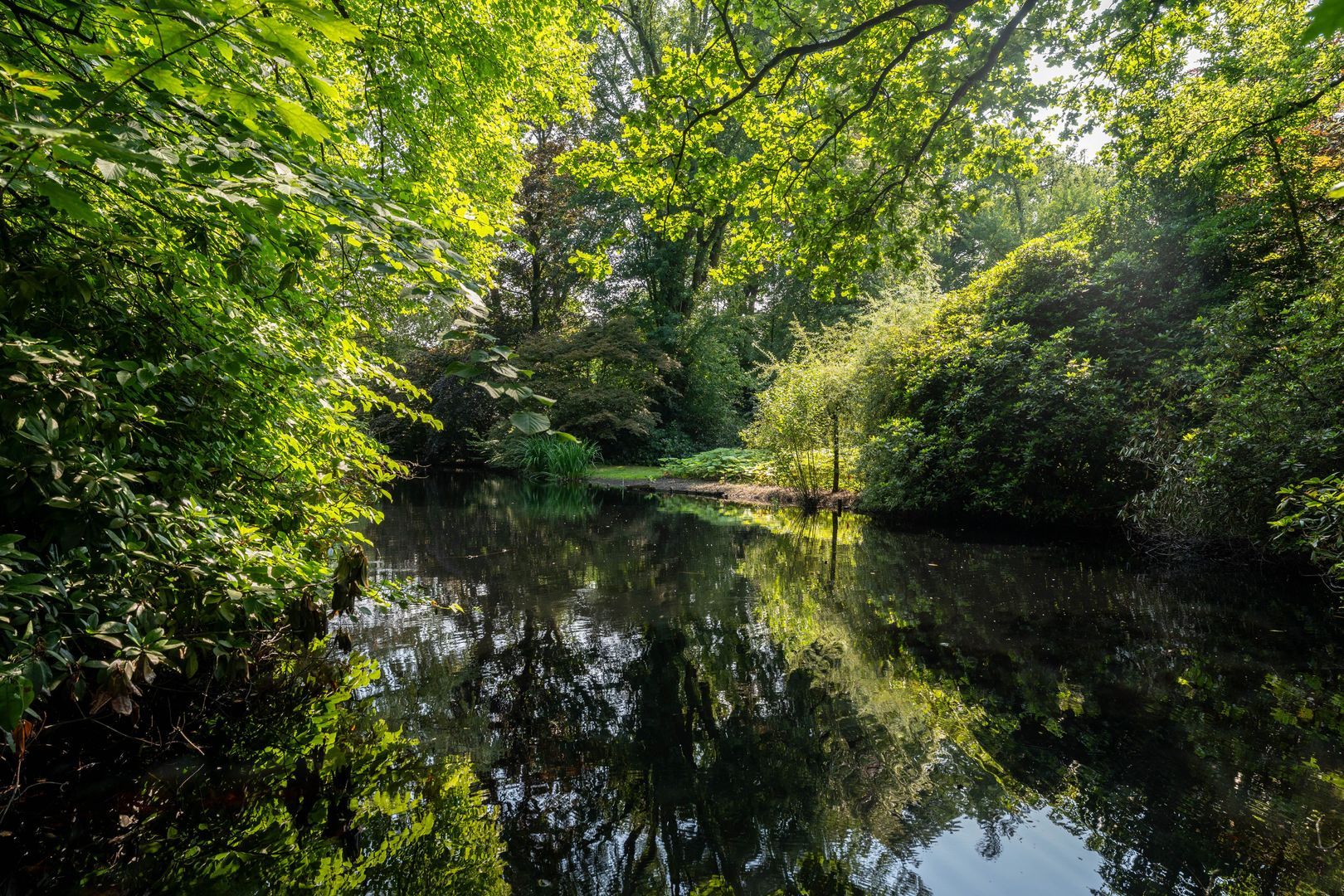 Kapellensteenweg 82 image 1