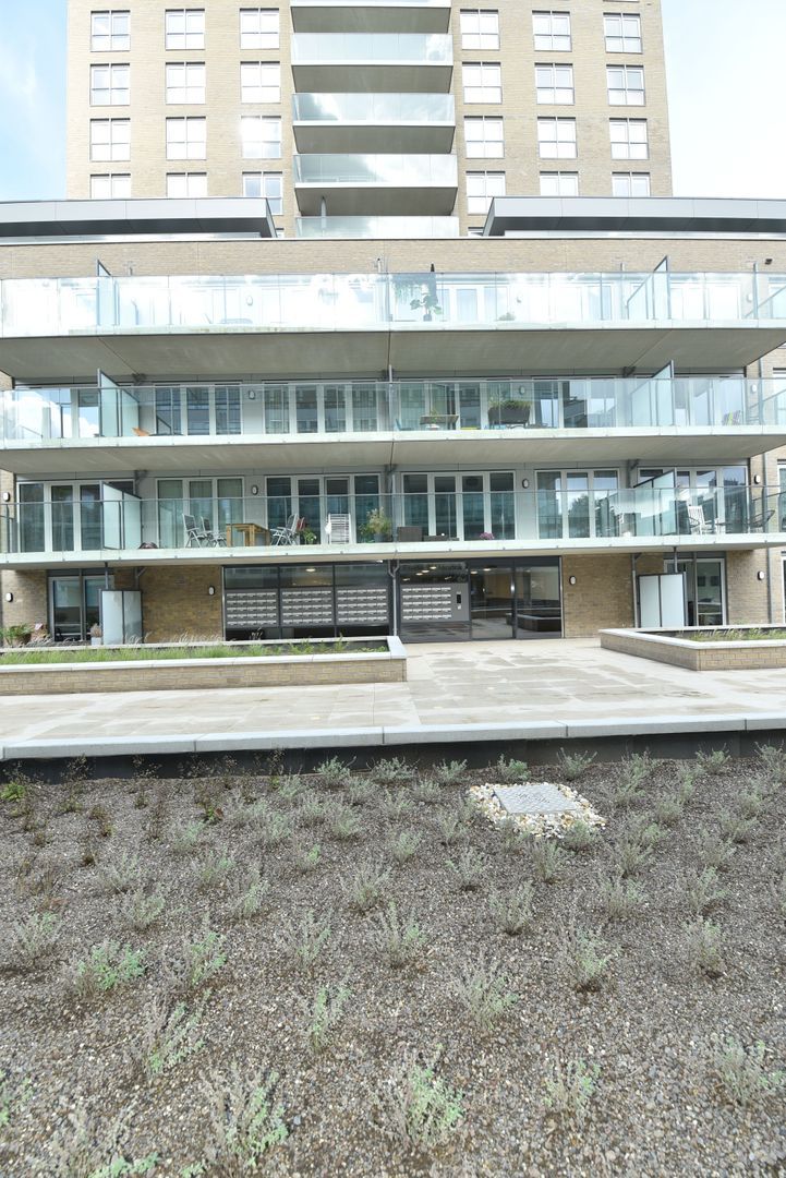 Stadhoudersplantsoen 258, Den Haag foto-38 blur