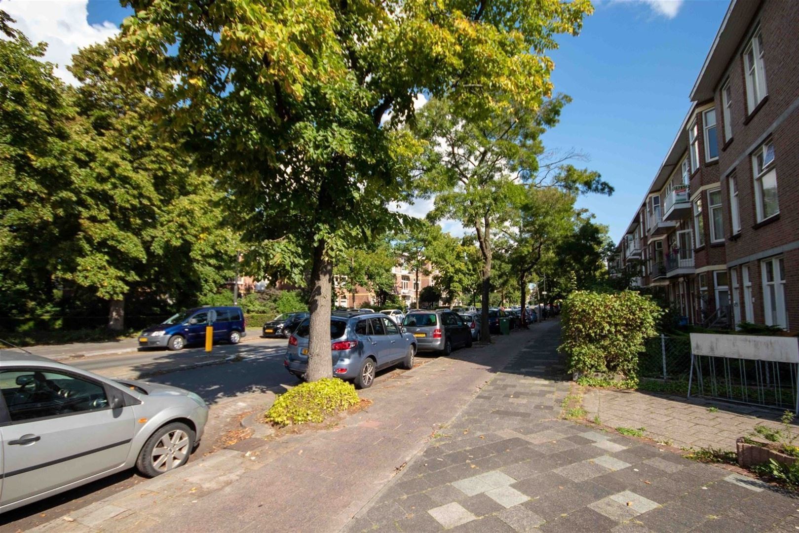 Lindelaan, Rijswijk foto-37 blur