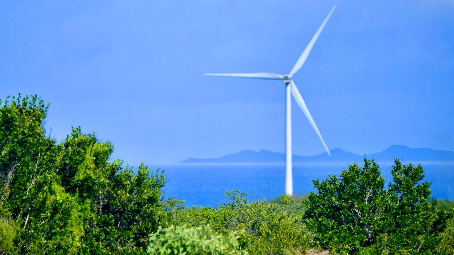 Windmolens Koraal Tabak