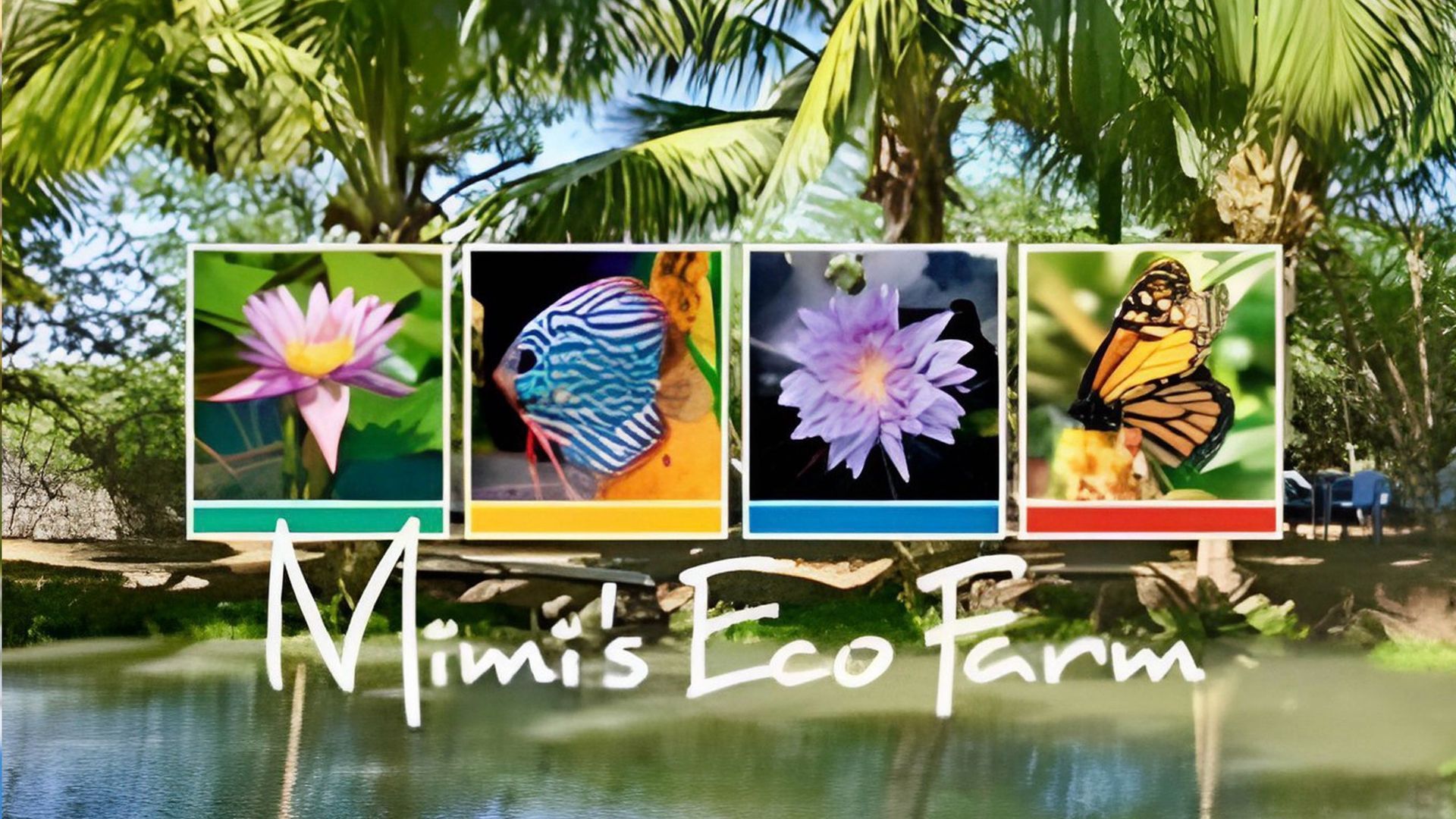Mimi’s Eco Farm