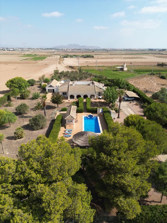 Perfect Family Retreat in Murcia's Tranquil Beauty, Torre Pacheco (Murcia) foto-3