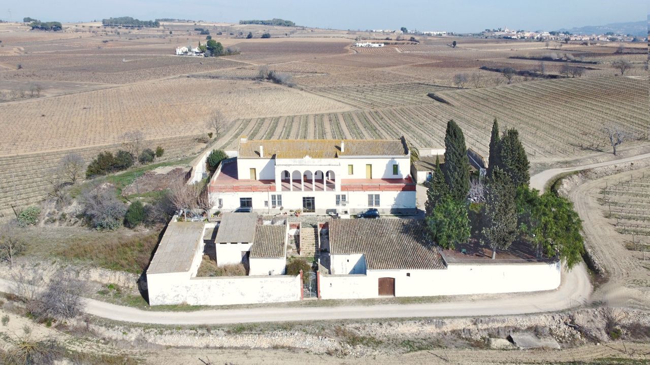 Two impressive vineyard estates, Vilafranca del Penedés (Barcelona) foto-3