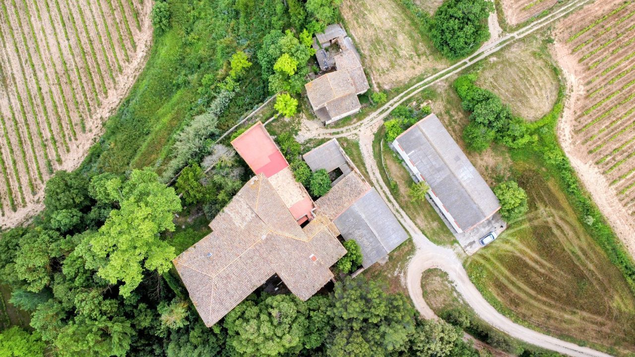 Baroness Castle, Catalan wine lands foto-3